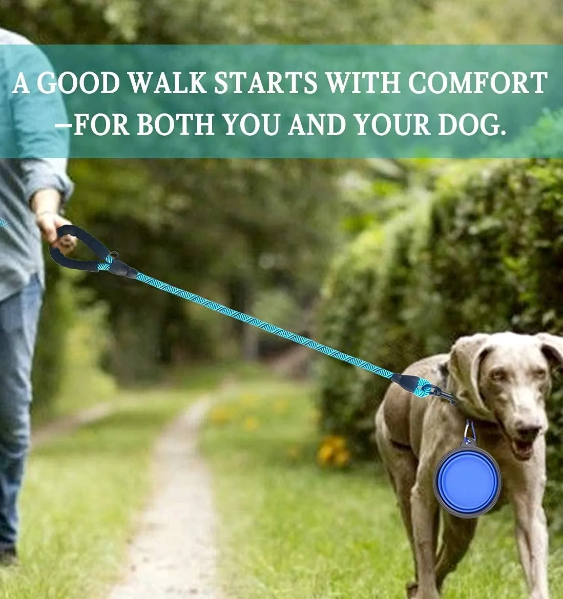2 Pack Dog Leash 6 FT Thick Durable Nylon Rope - Comfortable Padded Handle Rope Dog Leash for Medium Large Dogs with Collapsible Pet Bowl and Garbage Bags (Non-Reflective 6FT- Black Blue)