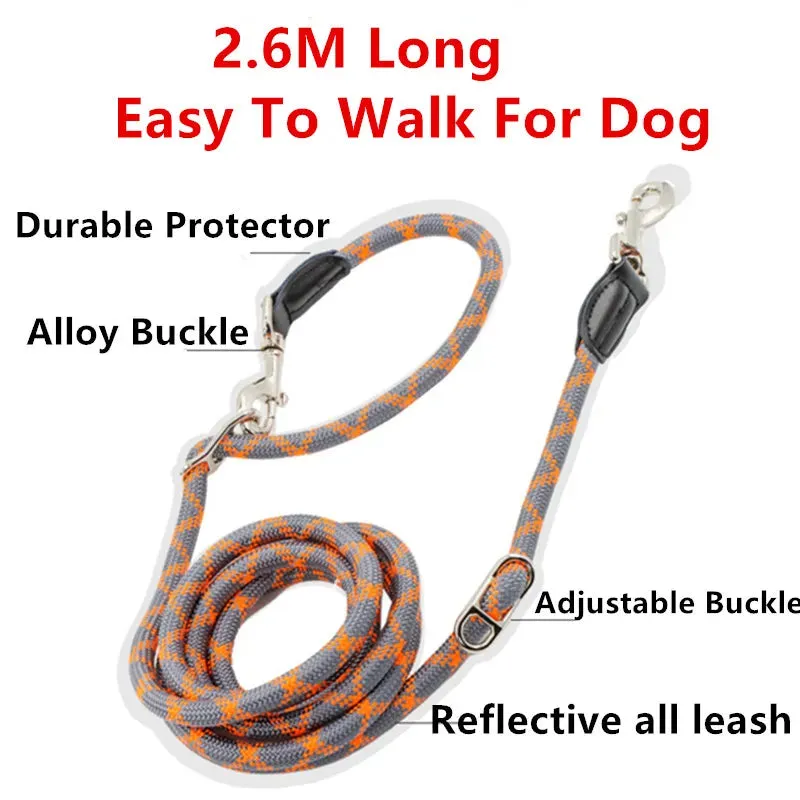 2.6M Hands Free Dog Slip Leash Multifunctional Dog Training Leads Nylon Double Leash