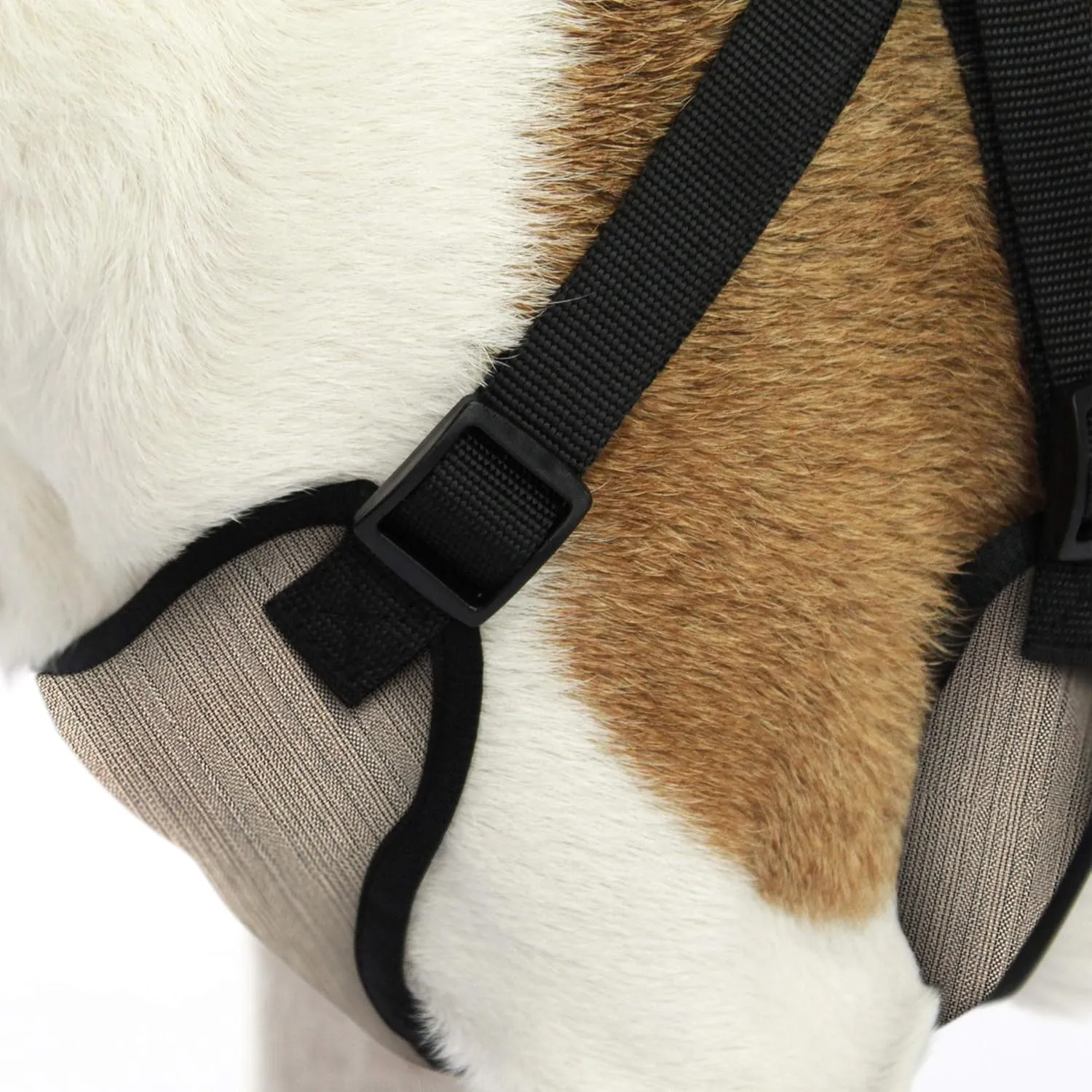 AKC Premium Padded Step-in Dog Harness  Soft Comfort Fit with Dual D-Ring No Pull Control  Small, Medium, Large  Blue, Gray, Green, Tan