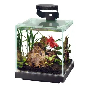 Aqueon Edgelit Rimless Cube Glass Aquariums - 1 gal