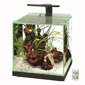Aqueon Edgelit Rimless Cube Glass Aquariums - 6 gal