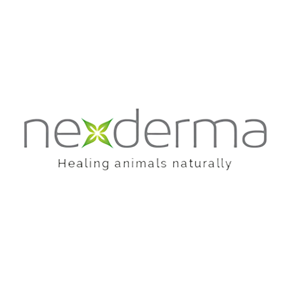 Baby Powder Fresh Deep Moisturizing Shampoo Gallon by Nexderma