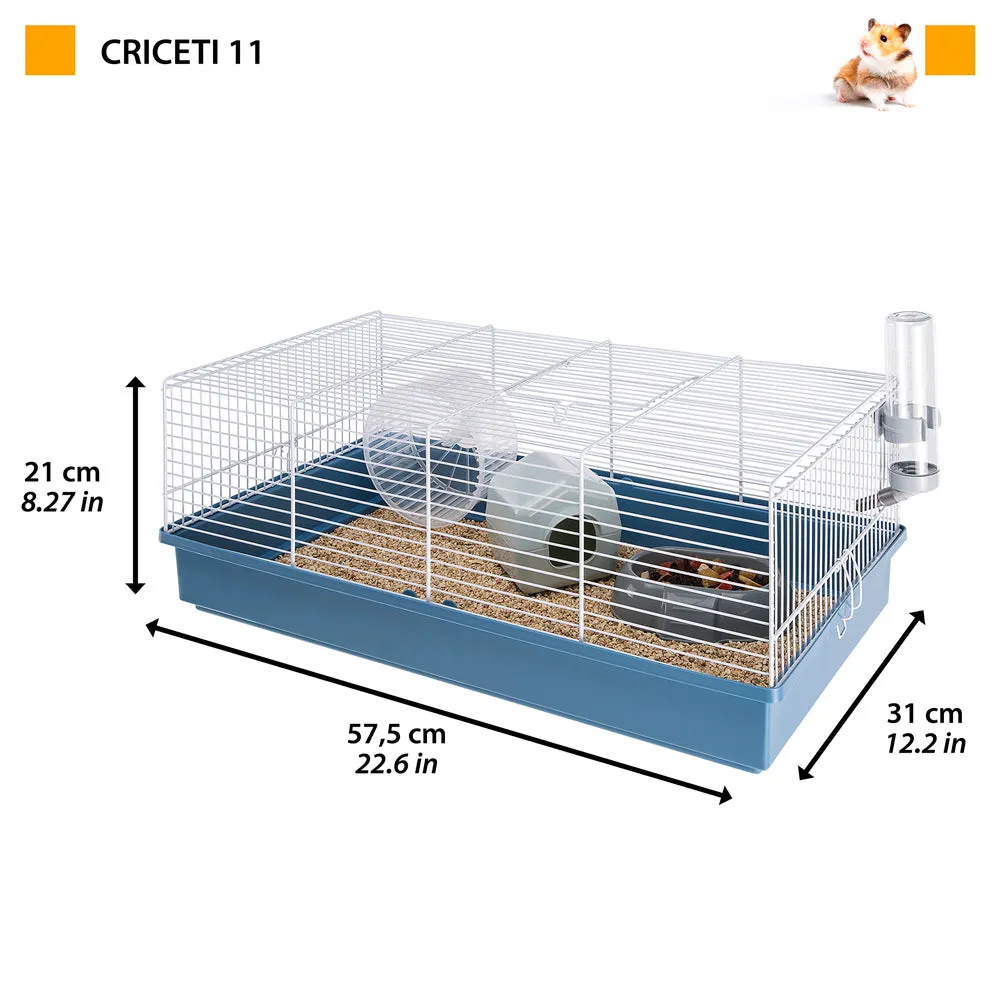 CRICETI 11