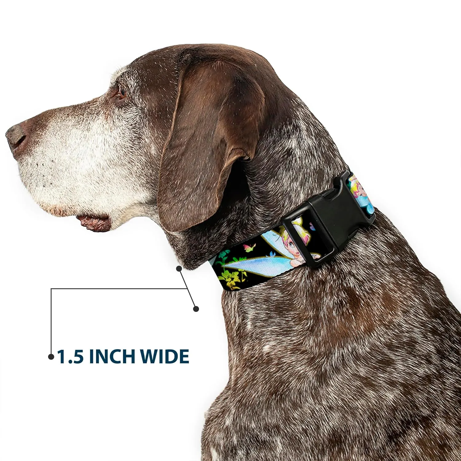 Disney Pet Collar, Dog Collar Plastic Buckle, Glowing Tinker Bell Butterflies Flowers Black Multi Neon, 20 to 31 Inches 1.5 Inch Wide