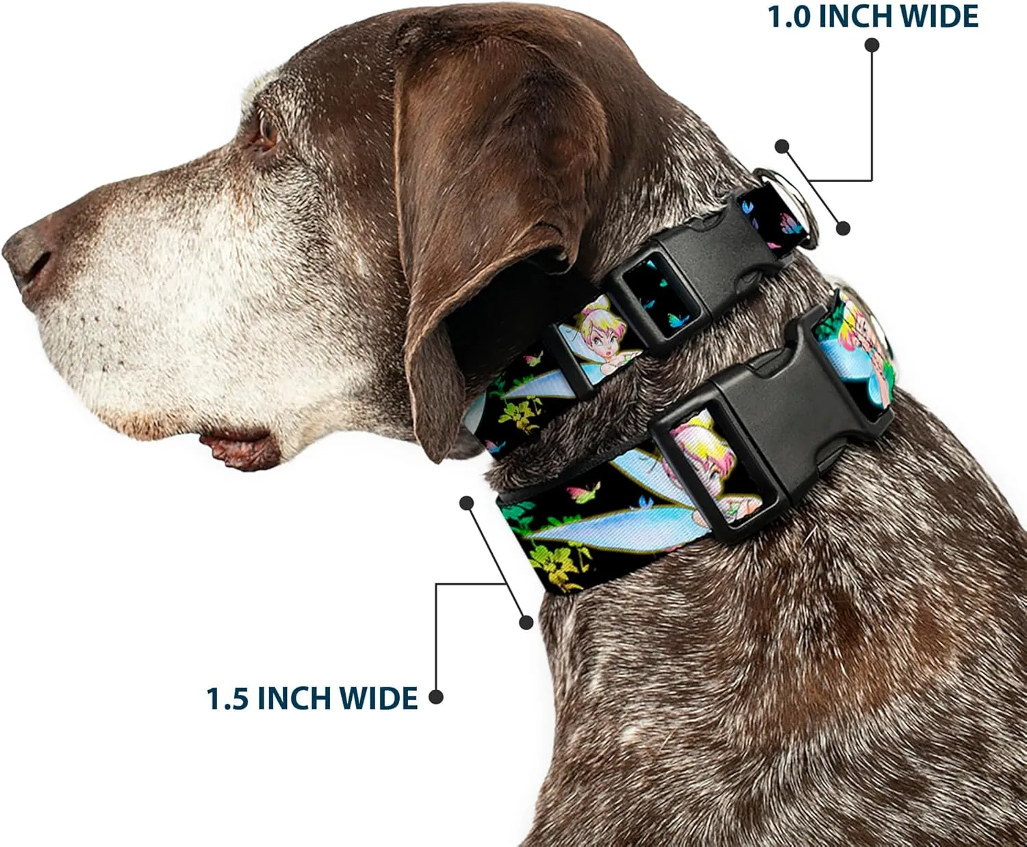 Disney Pet Collar, Dog Collar Plastic Buckle, Glowing Tinker Bell Butterflies Flowers Black Multi Neon, 20 to 31 Inches 1.5 Inch Wide