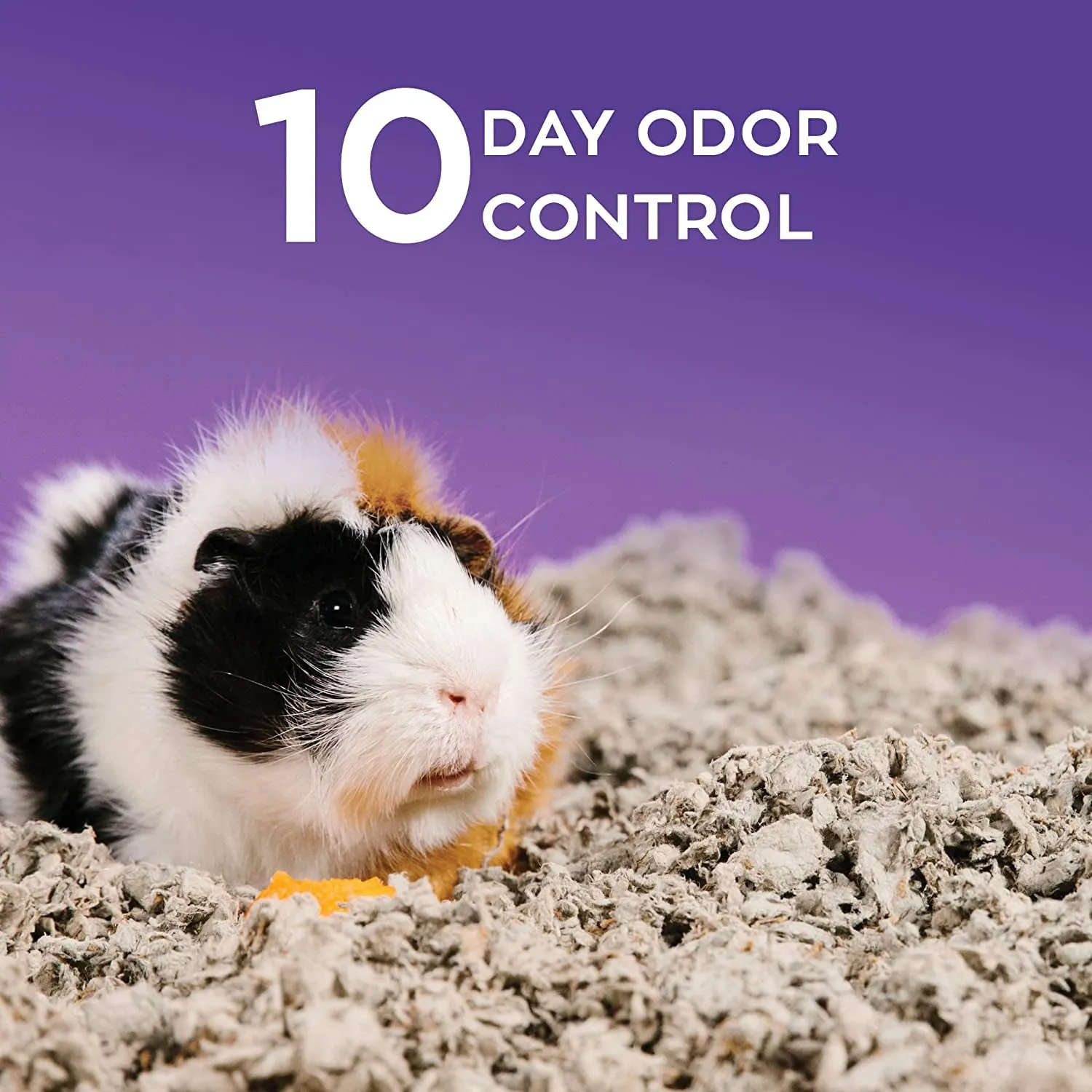 Dust-Free Natural Paper Small Pet Bedding