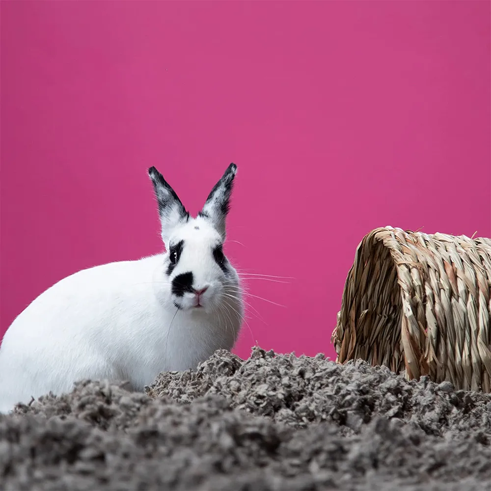 Dust-Free Natural Paper Small Pet Bedding