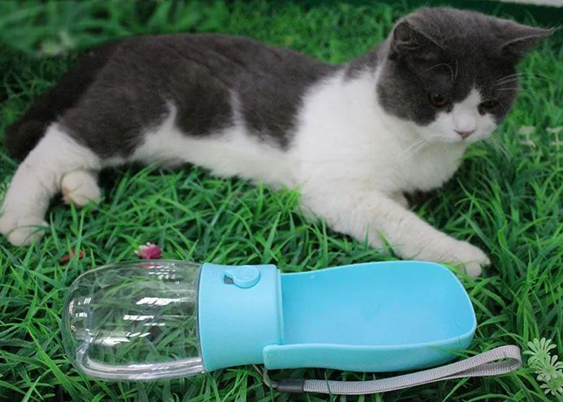 Folding pet water bottle