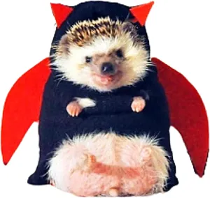 Hedgehog Costume Devil Costume Small Animal Costume Polar Fleece Handmade Hedgehog Hoodie Dress Up Accessories Role Play Halloween Christmas Party Pet Supplies (L(500-600g))