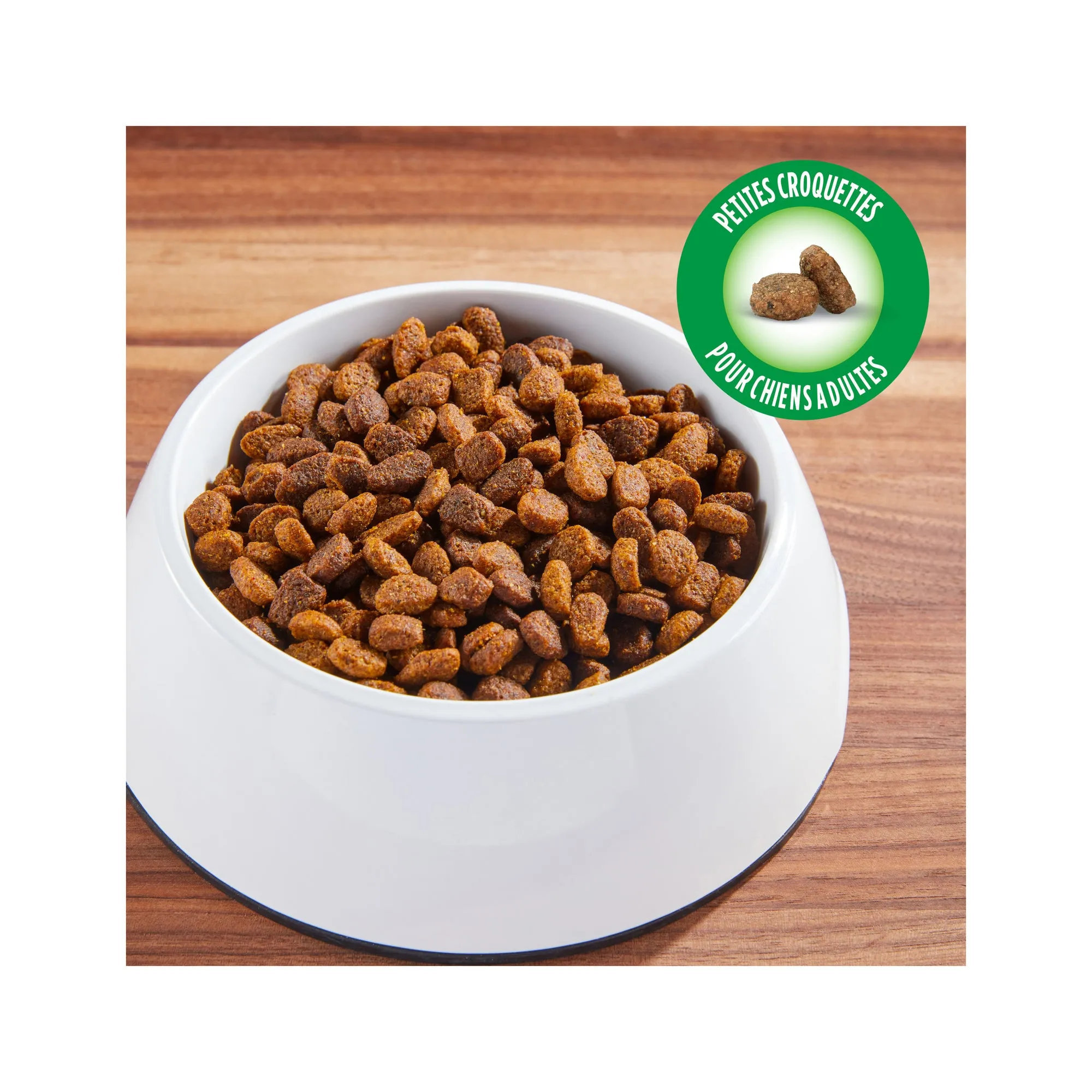 IAMS PROACTIVE HEALTH Dog Food Dry Minichunks Adult, Lamb & Rice, 1.5 kg