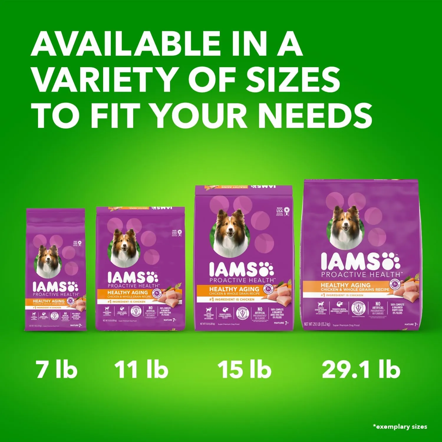 IAMS Proactive Health Healthy Aging Adult Dry Dog Food for Mature and Senior Dogs with Real Chicken, 7 lb. Bag