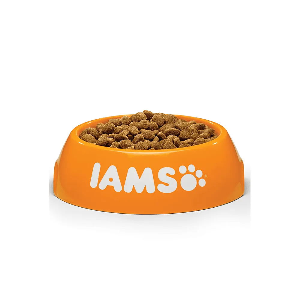 Iams Vitality Senior Dog Small/Medium Breed with Chicken