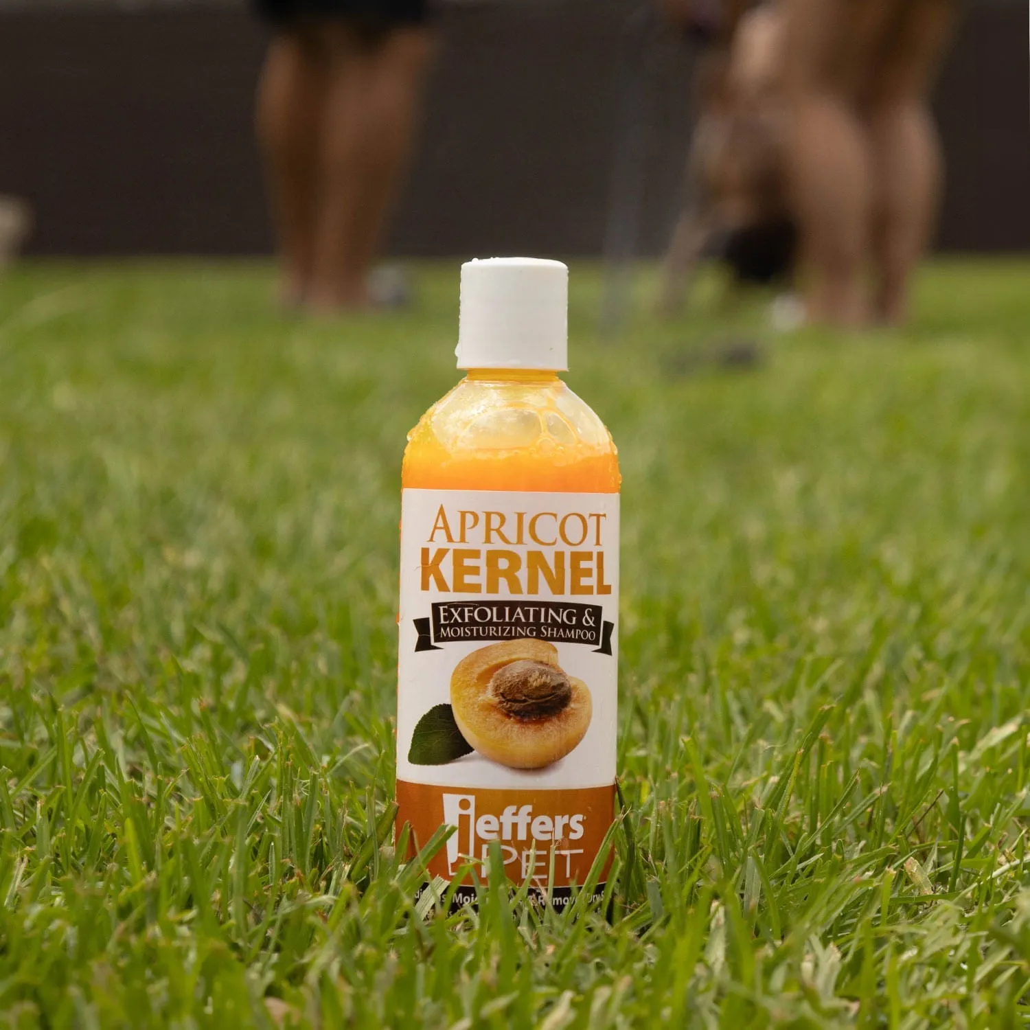 Jeffers Apricot Kernel Shampoo