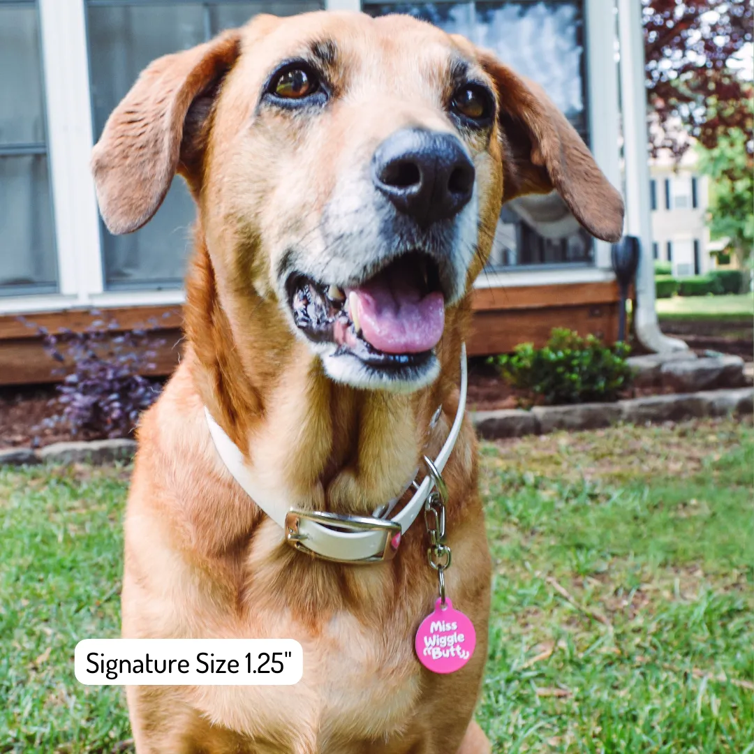 Judging Silently Since (Add Year) Funny Dog Tag
