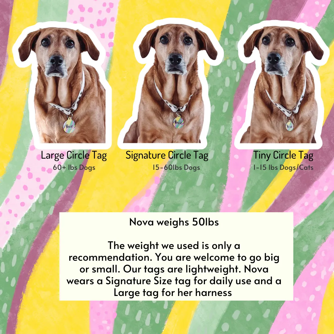 Judging Silently Since (Add Year) Funny Dog Tag