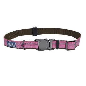 K9 Explorer® Reflective Adjustable Dog Collar, Rosebud Large