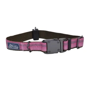 K9 Explorer® Reflective Adjustable Dog Collar, Rosebud Medium