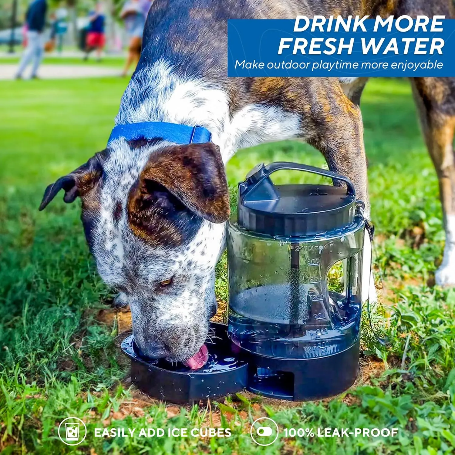 lesotc Portable Dog Travel Water Bottle, 77oz Large Travel Water Bowl for Dogs Camping Hiking Beach Hunting Essentials, Big Pet Bottles Bowl Water Dispenser for On The Go Park Car Walking Accessories
