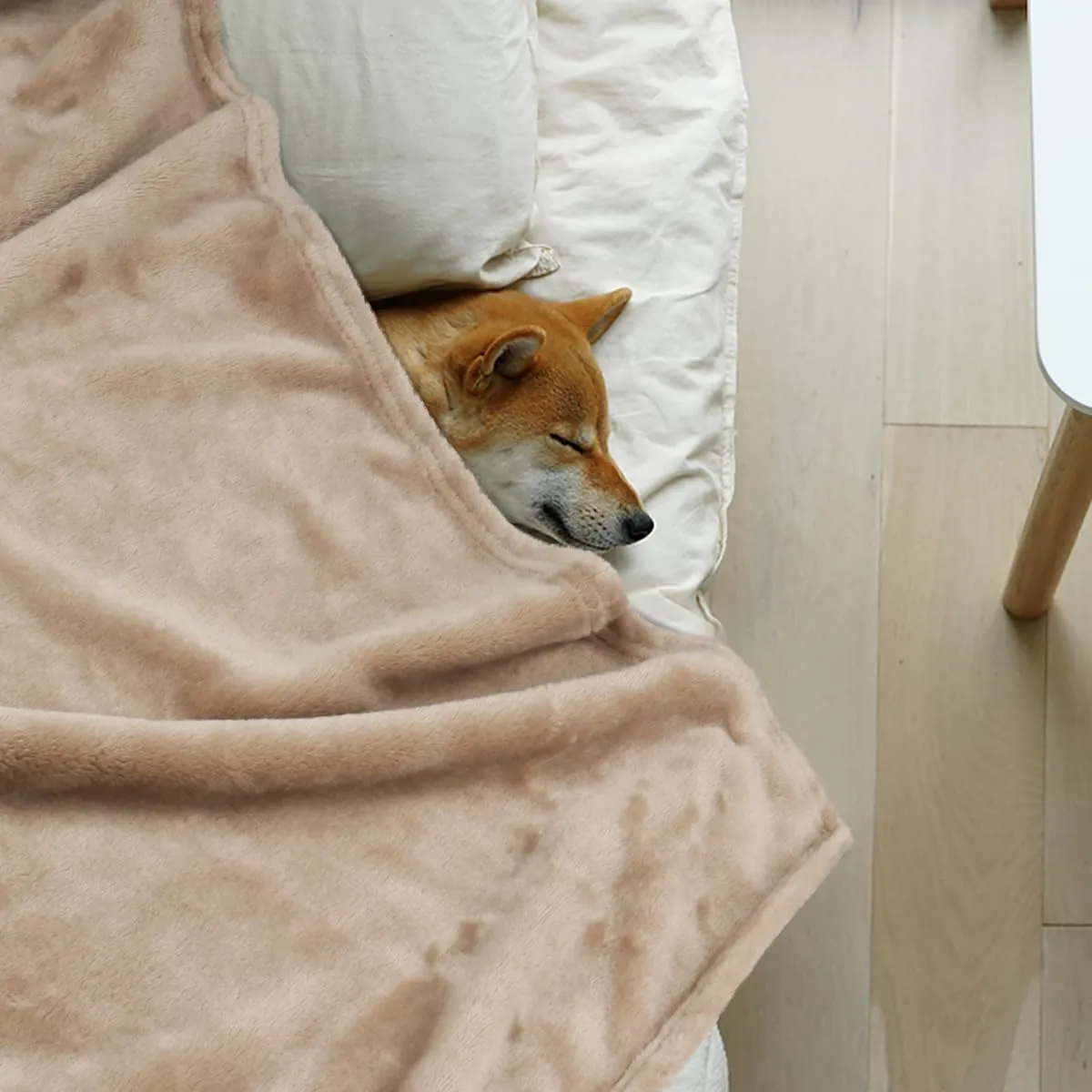 Onarway Dog Blanket Washable for Puppy: 4 Packs Dog Blankets 40x28 - Fluffy Soft Small Throw for Cat Puppy Kitten Dogs - Fleece Pet Blankets for Bed Sofa Car and Indoor - Khaki
