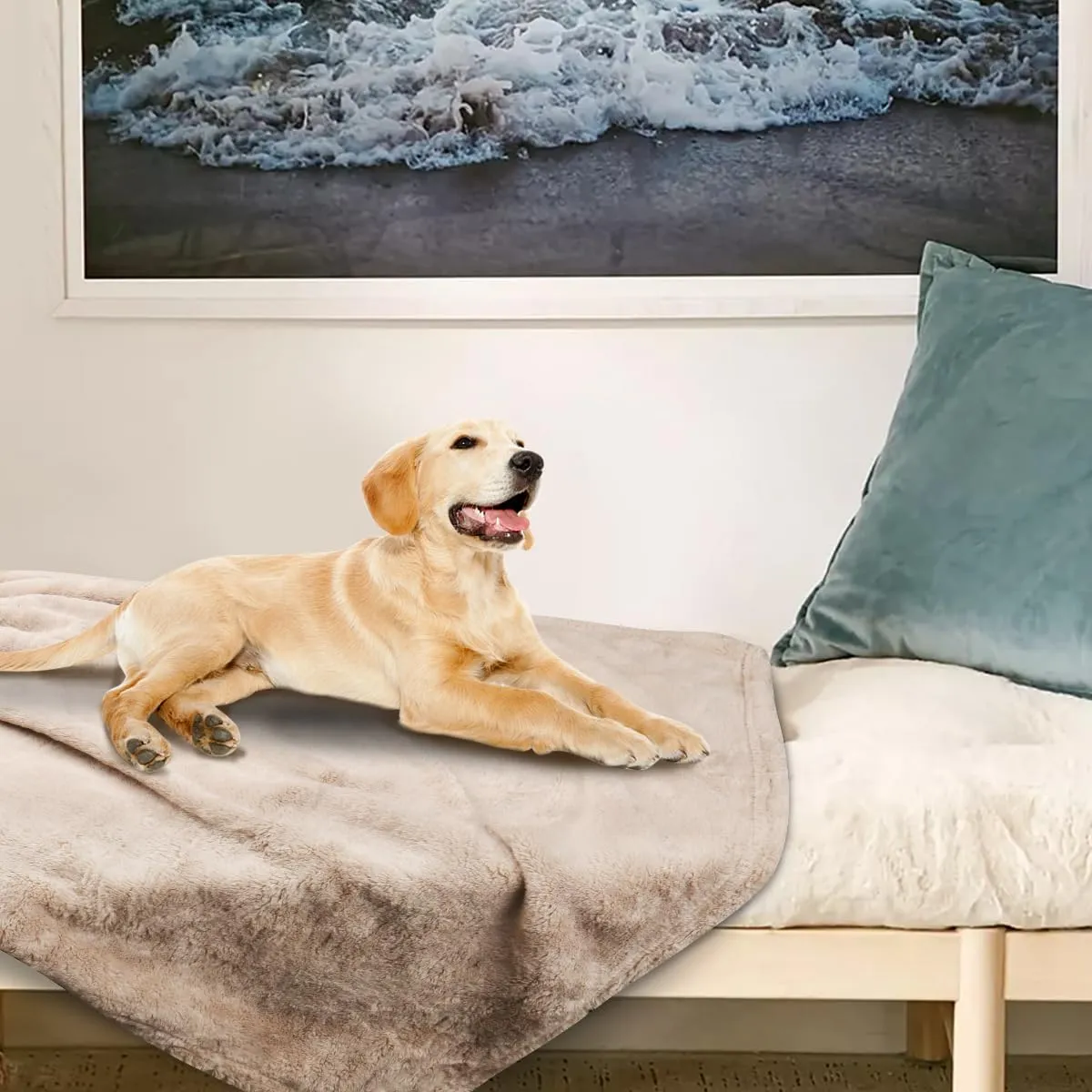 Onarway Dog Blanket Washable for Puppy: 4 Packs Dog Blankets 40x28 - Fluffy Soft Small Throw for Cat Puppy Kitten Dogs - Fleece Pet Blankets for Bed Sofa Car and Indoor - Khaki