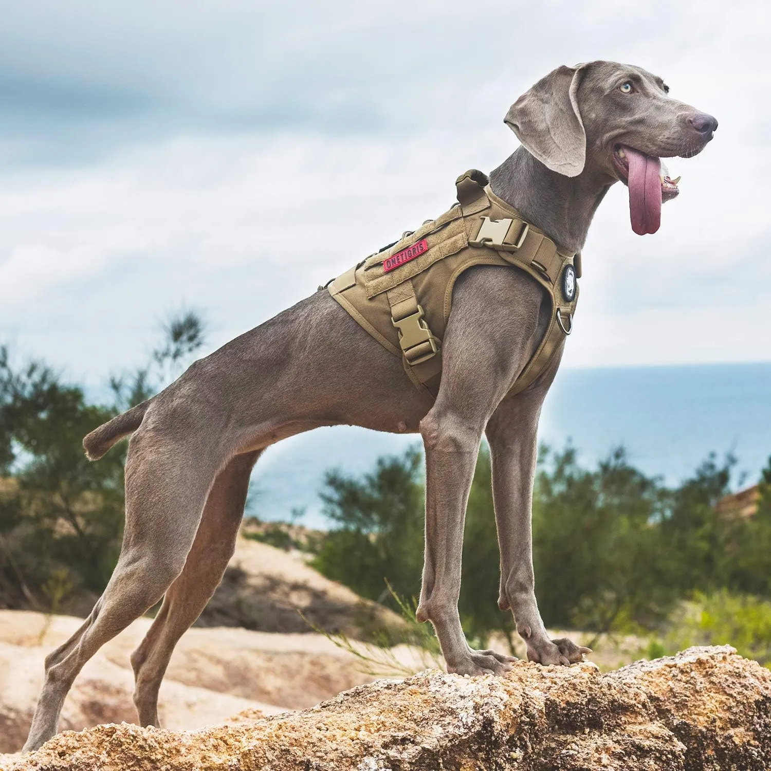 OneTigris Tactical Dog Training Vest No Pull Harness for Dogs,Adjustable Dog Harness Working Vest(Coyote Brown,Small)
