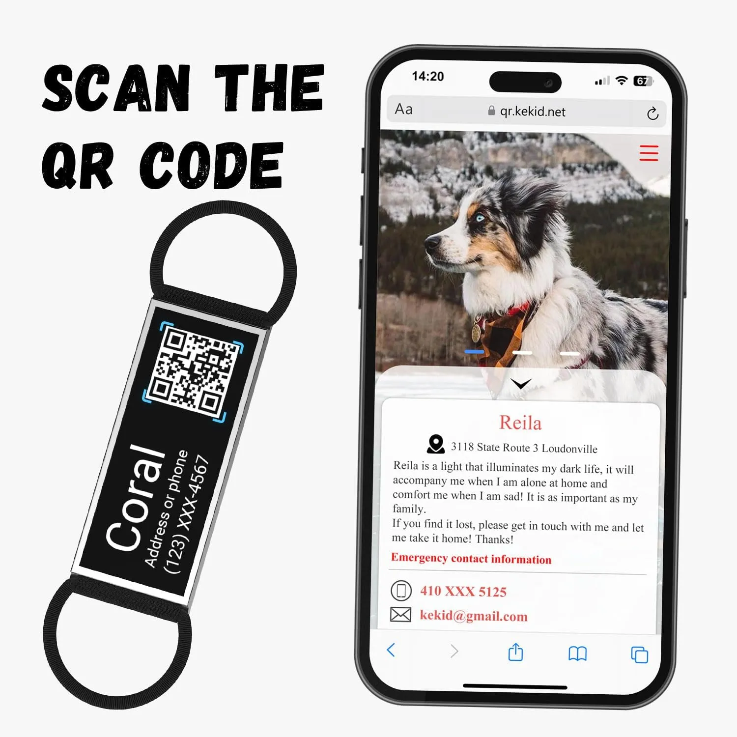 QR Code Slide On Dog Tag - Personalized Pet ID Tags, Custom Name Tags, Silent Noiseless - Free Online & Scan QR Receive Instant Location Alert Email
