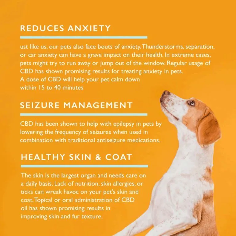 Qurist - Pet CBD Oil - For Small Pets