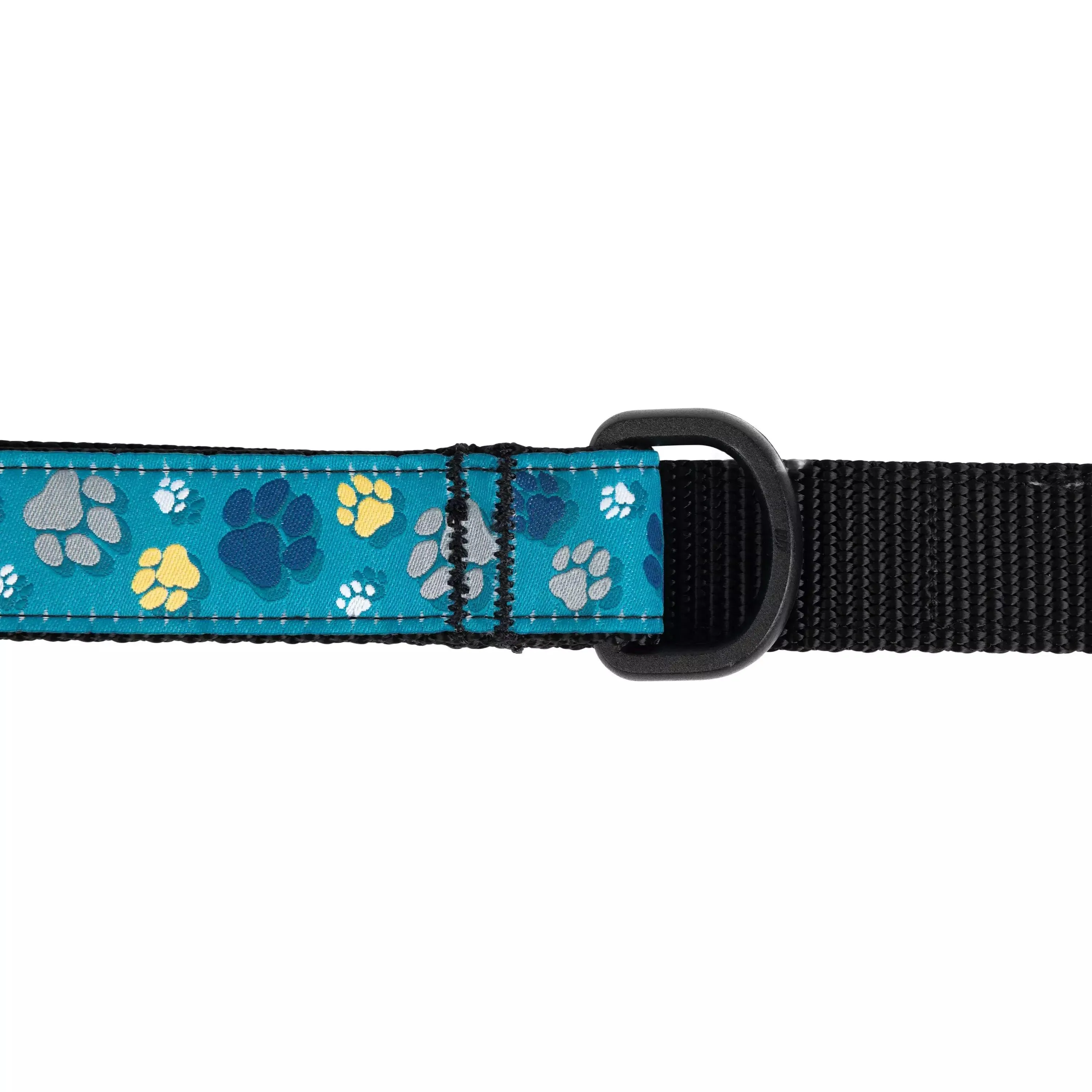 RC Dog Leash Deco