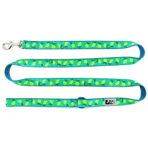 RC Dog Leash Lemonade