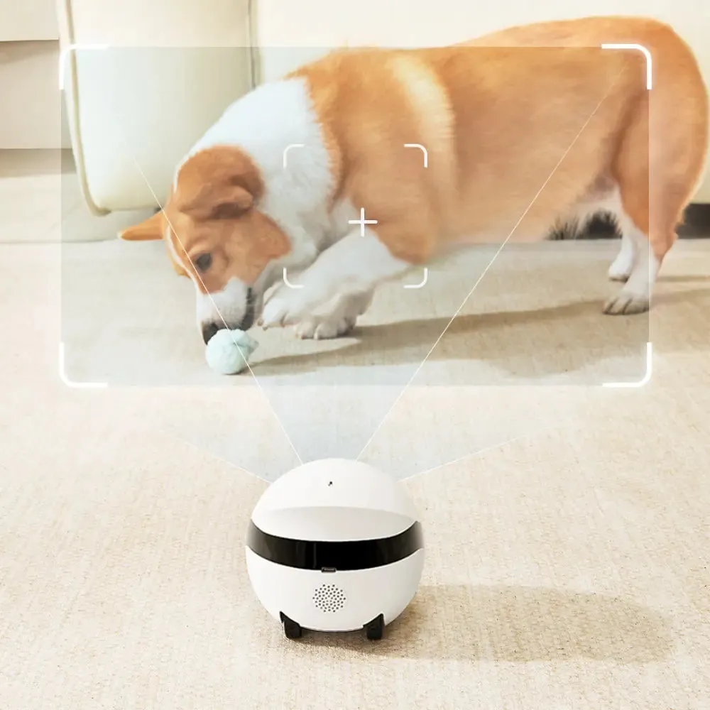 ROLA Mini Pet Monitor Companion Robot