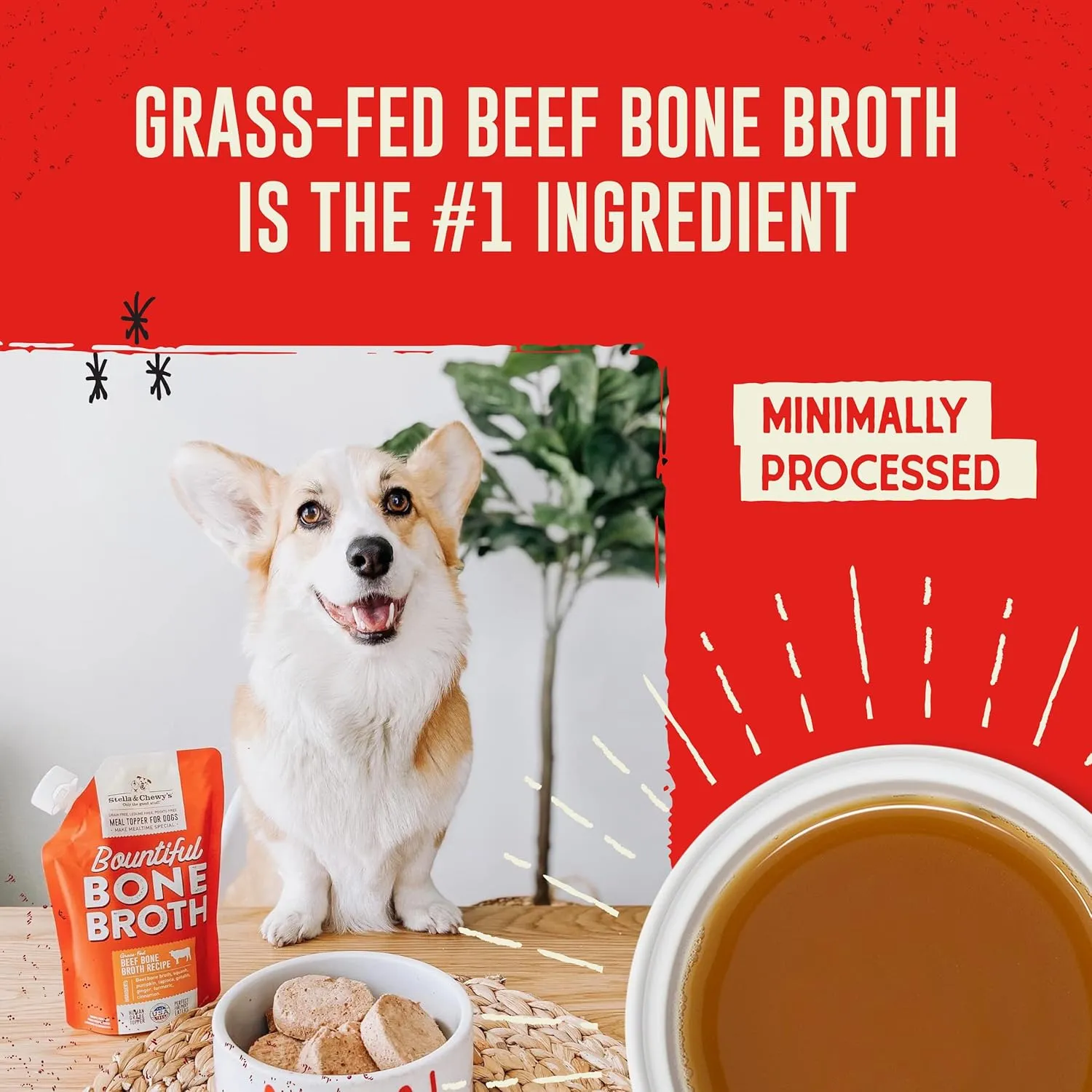 Stella & Chewy's Human-Grade Grass-Fed Beef Bone Broth for Dogs - Joint & Gut Health Liquid Food Topper with Collagen & Turmeric, 16 Fl Oz Resealable Pouch