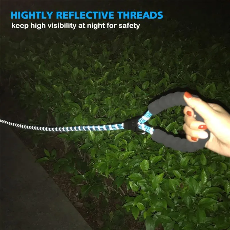 Strong Heavy Duty Dog Leash with Comfortable Padded Handle Reflective Threads