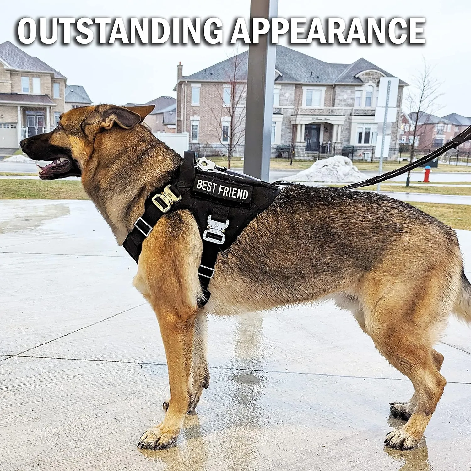 Tactical Dog Harness with 4 Metal Buckles. Tactical Vest for Dog No-Pull with Handle, Heavy Duty Harness for Small Dog (Metal Buckle Dog Harness Might not be Good for Tiny Dogs) Black (S)