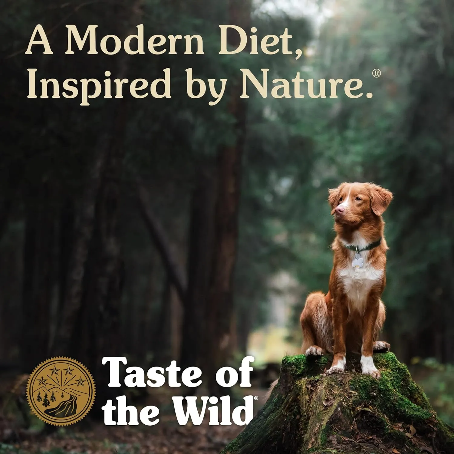 Taste of the Wild Pacific Stream Grain-Free Dry Puppy Food with Smoke-Flavored Salmon 28lb
