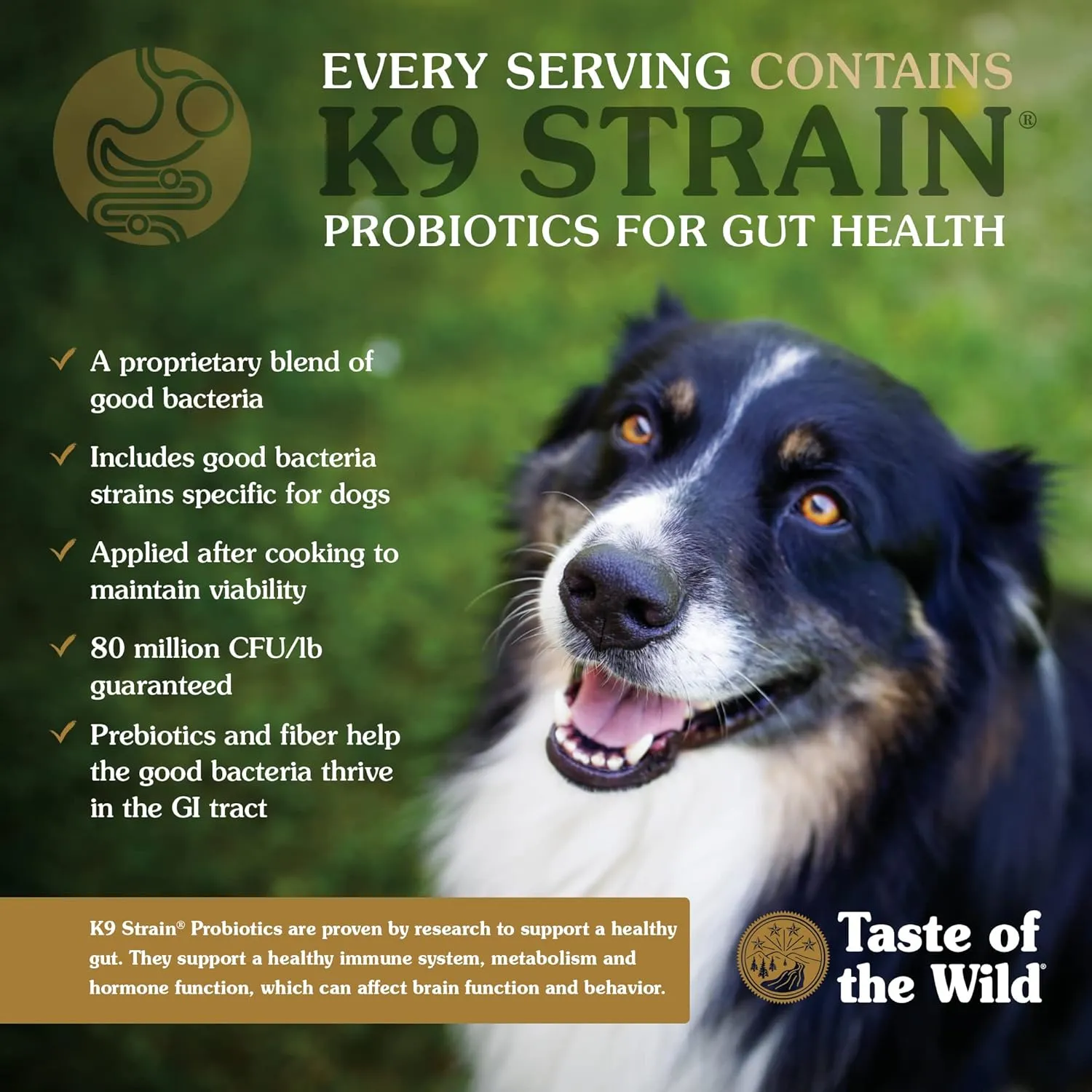 Taste of the Wild Pacific Stream Grain-Free Dry Puppy Food with Smoke-Flavored Salmon 28lb