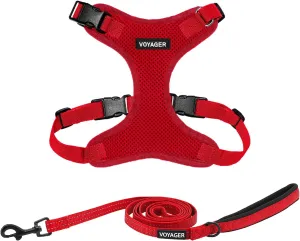 Voyager Step-in Lock Dog Harness w Reflective Dog Leash Combo Set with Neoprene Handle 5ft - Supports Small, Medium and Large Breed Puppies/Cats by Best Pet Supplies - Red, L