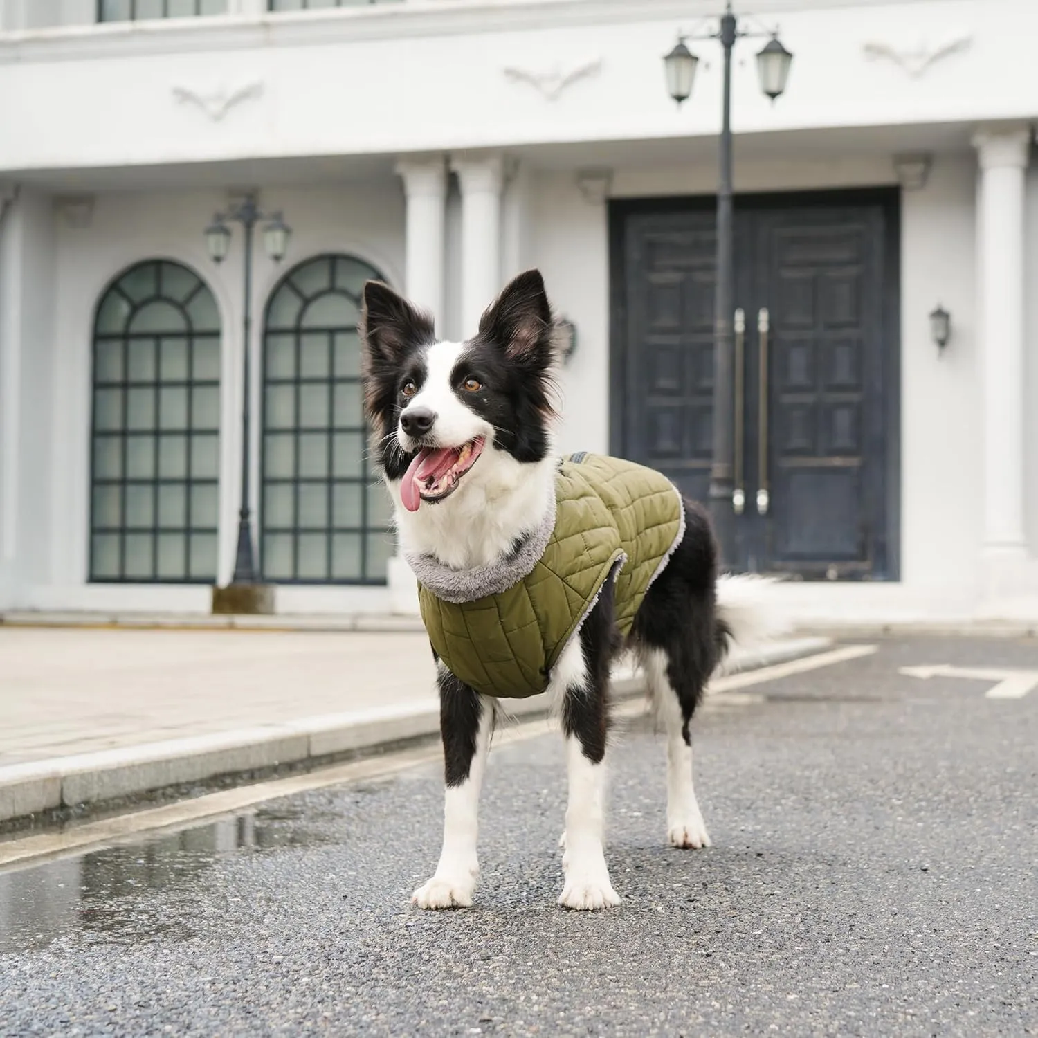 Warm Fleece Dog Coats with Durable Harness Buitl in D-Ring,Waterproof Puppy Jacket for Small Dogs,Dog Vest for Cold Winter,Green M