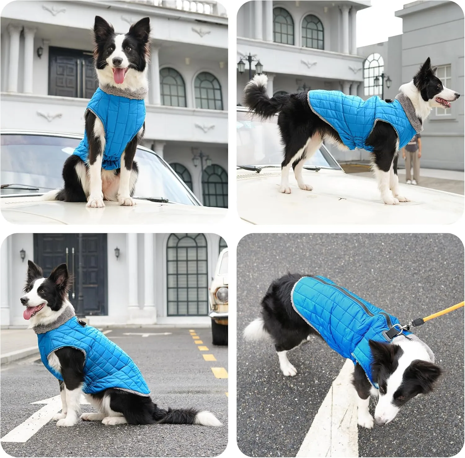 Warm Fleece Dog Coats with Durable Harness Buitl in D-Ring,Waterproof Puppy Jacket for Small Dogs,Dog Vest for Cold Winter,Light Blue M
