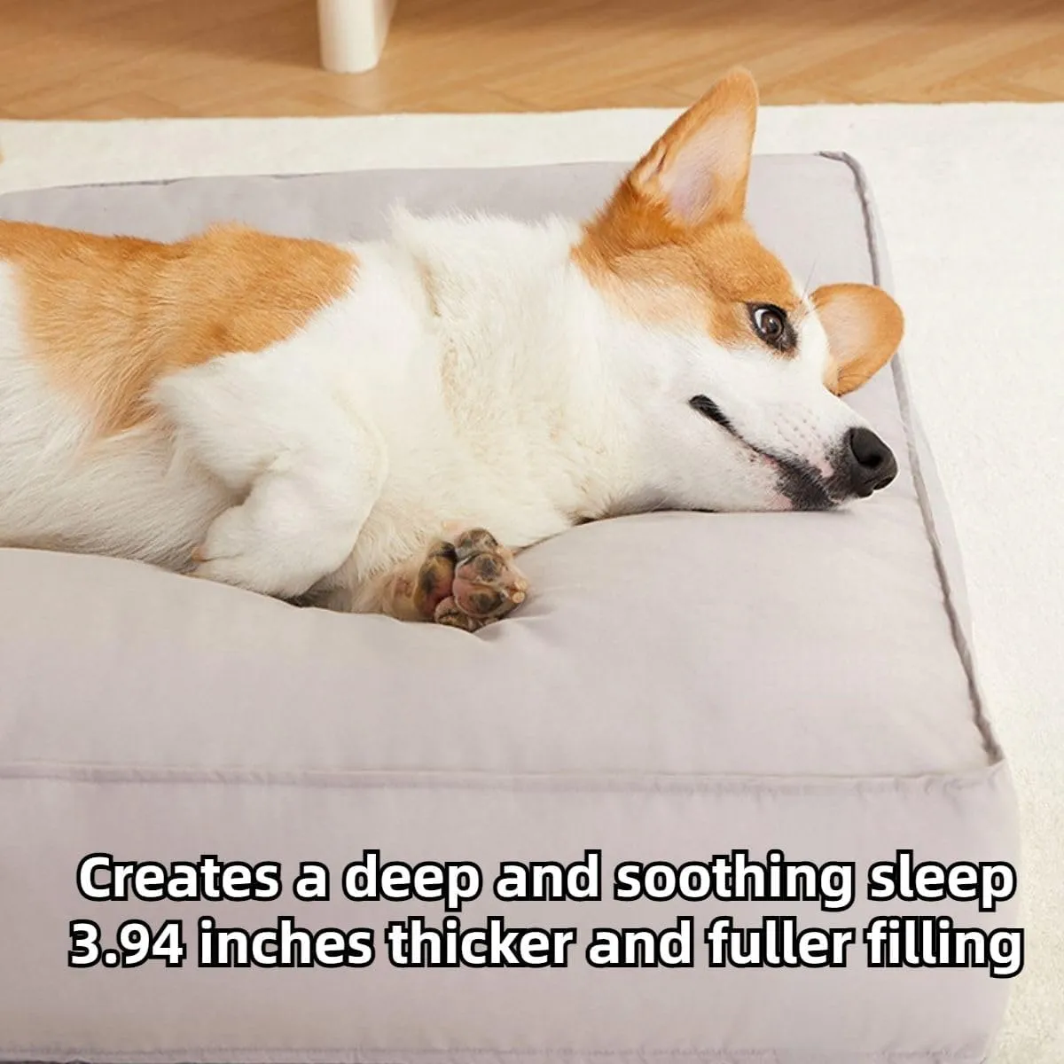 Waterproof Dog Beds for Small Medium Large Dogs and Cats,Thicken Dog Bed with Removable Washable Cover, Pet Bed Mat (Coffee,Medium)