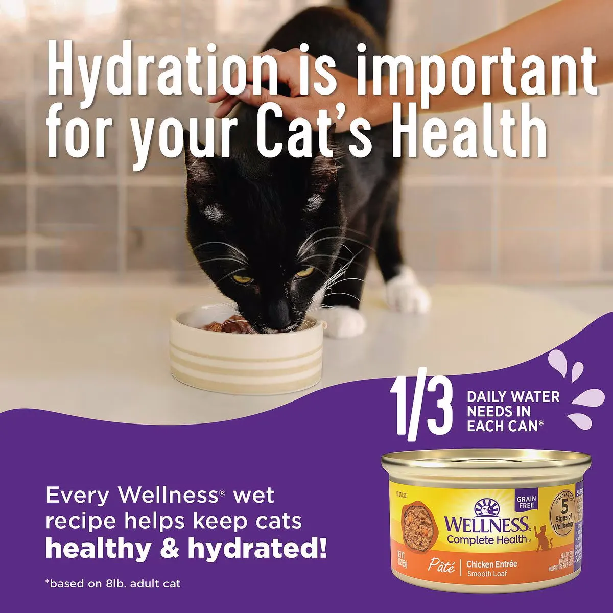Wellness Cat Chicken & Herring 3oz