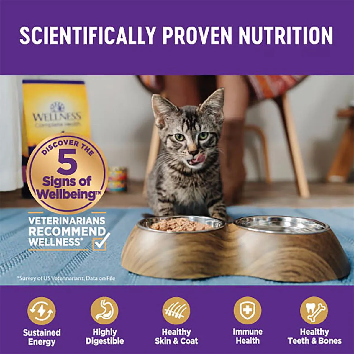 Wellness Cat Chicken & Herring 3oz