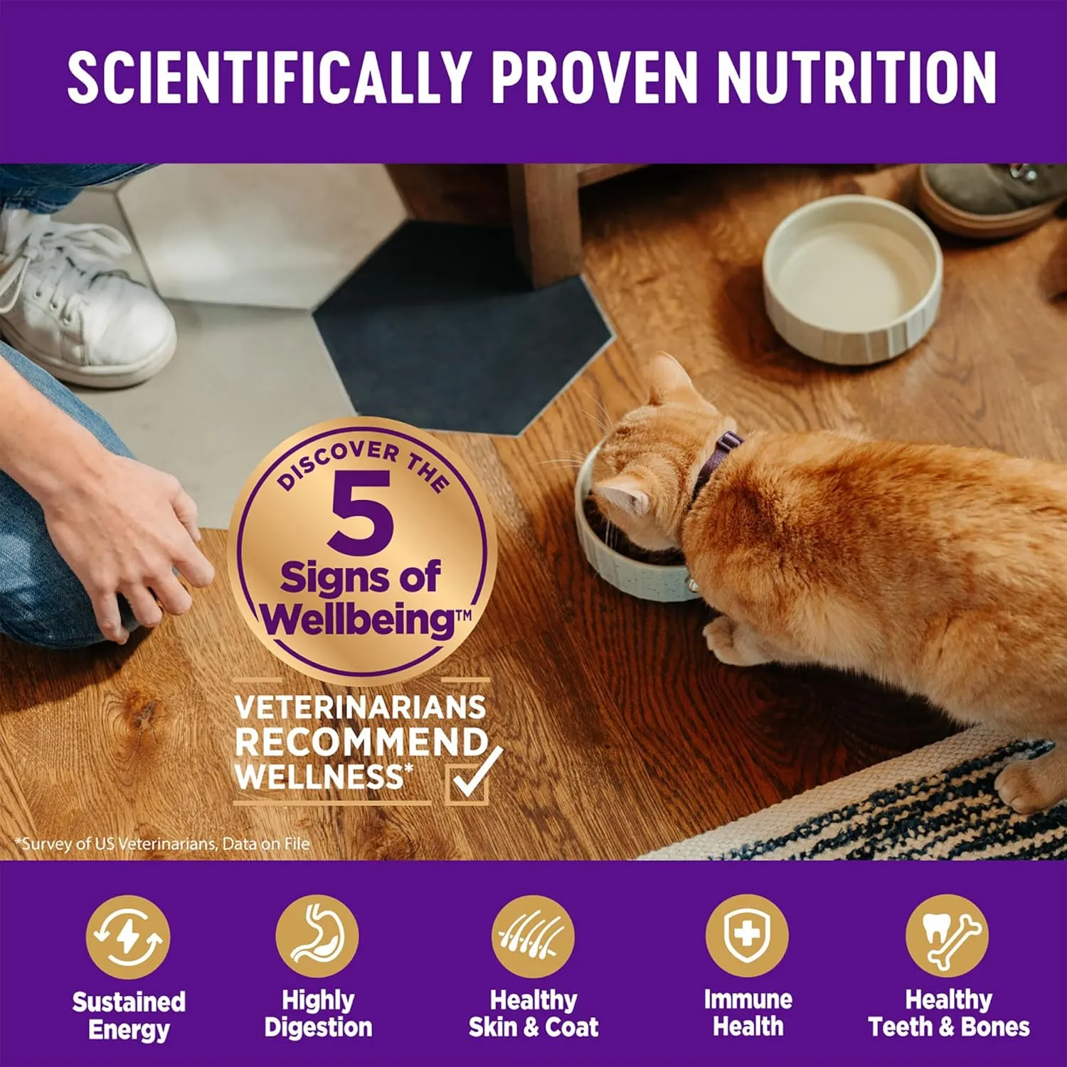 Wellness Complete Health Adult Dry Cat Food for Indoor and Outdoor Cats, Grain Free, Natural, Chicken & Chicken Meal (11.5 Pound Bag)