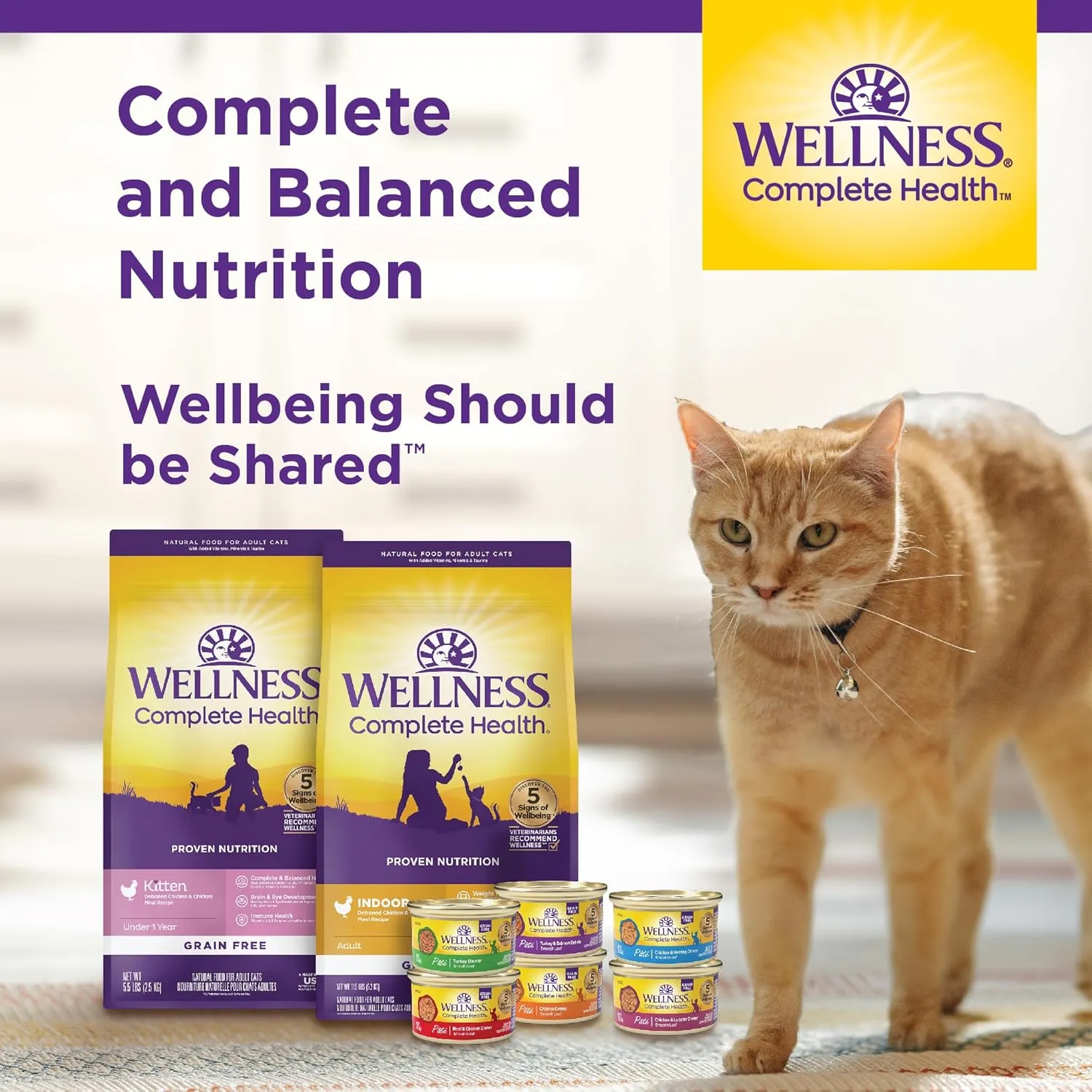 Wellness Complete Health Adult Dry Cat Food for Indoor and Outdoor Cats, Grain Free, Natural, Chicken & Chicken Meal (11.5 Pound Bag)