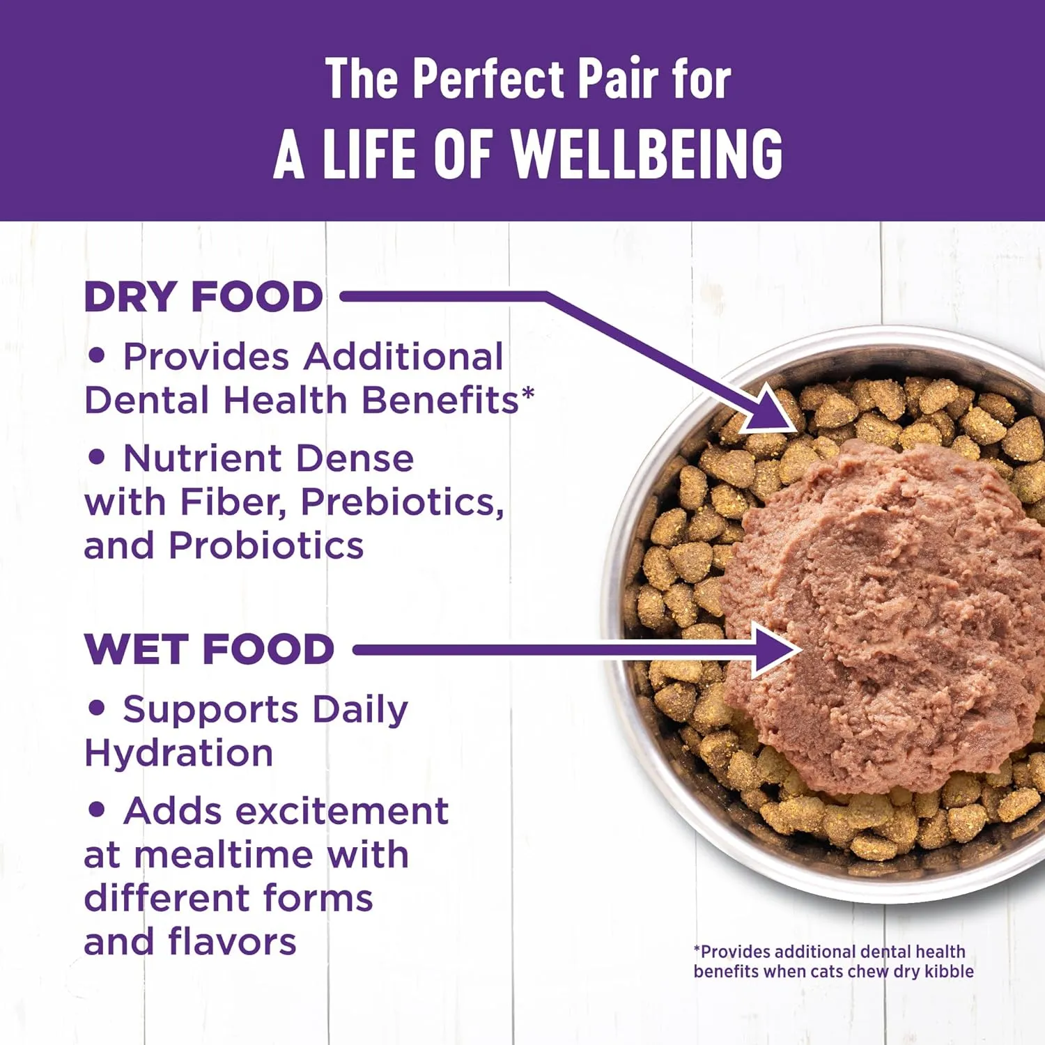 Wellness Complete Health Adult Dry Cat Food for Indoor and Outdoor Cats, Grain Free, Natural, Chicken & Chicken Meal (11.5 Pound Bag)