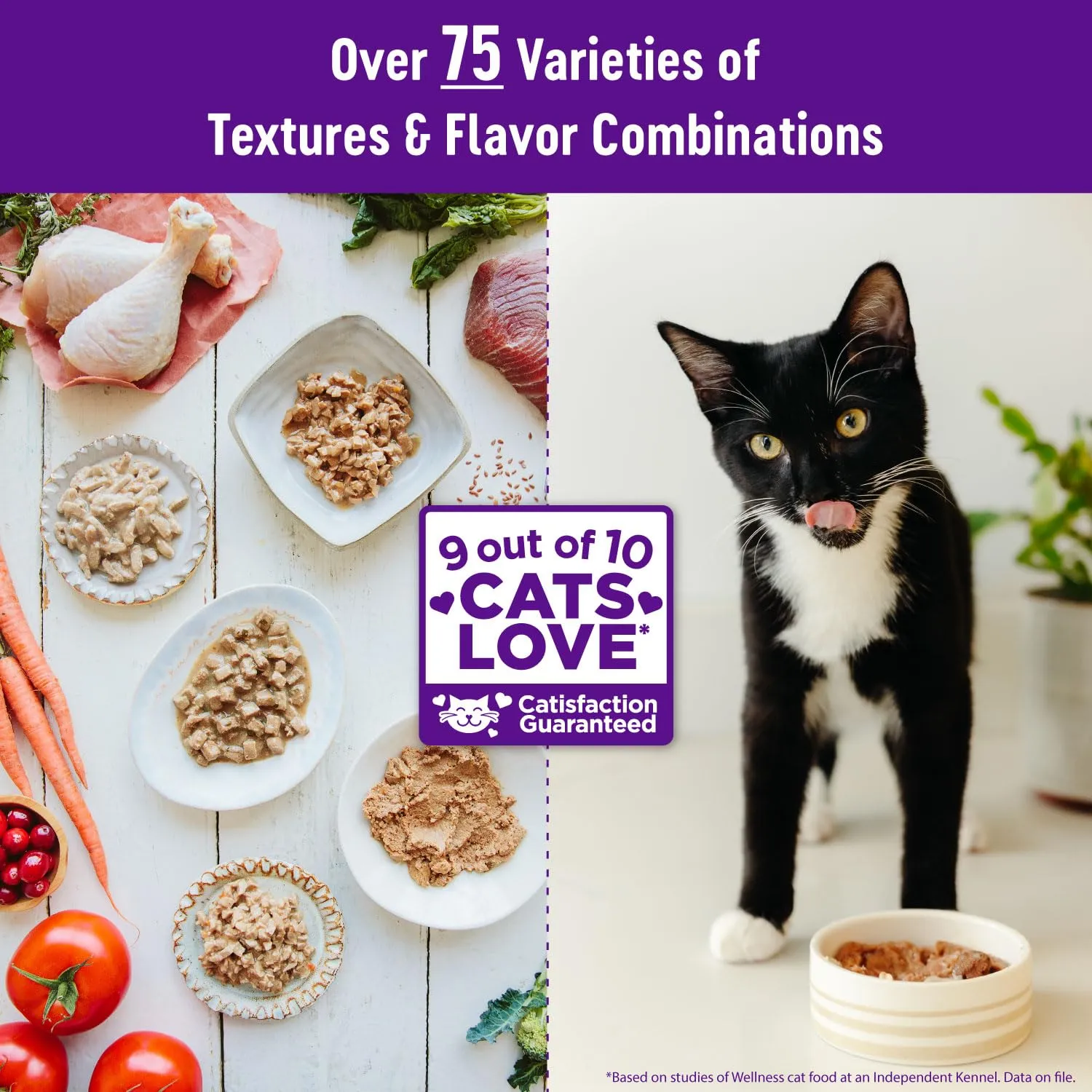 Wellness Complete Health Age Advantage Grain-Free Chicken Entrée Adult Canned Cat Food - 3 Oz - Case of 24