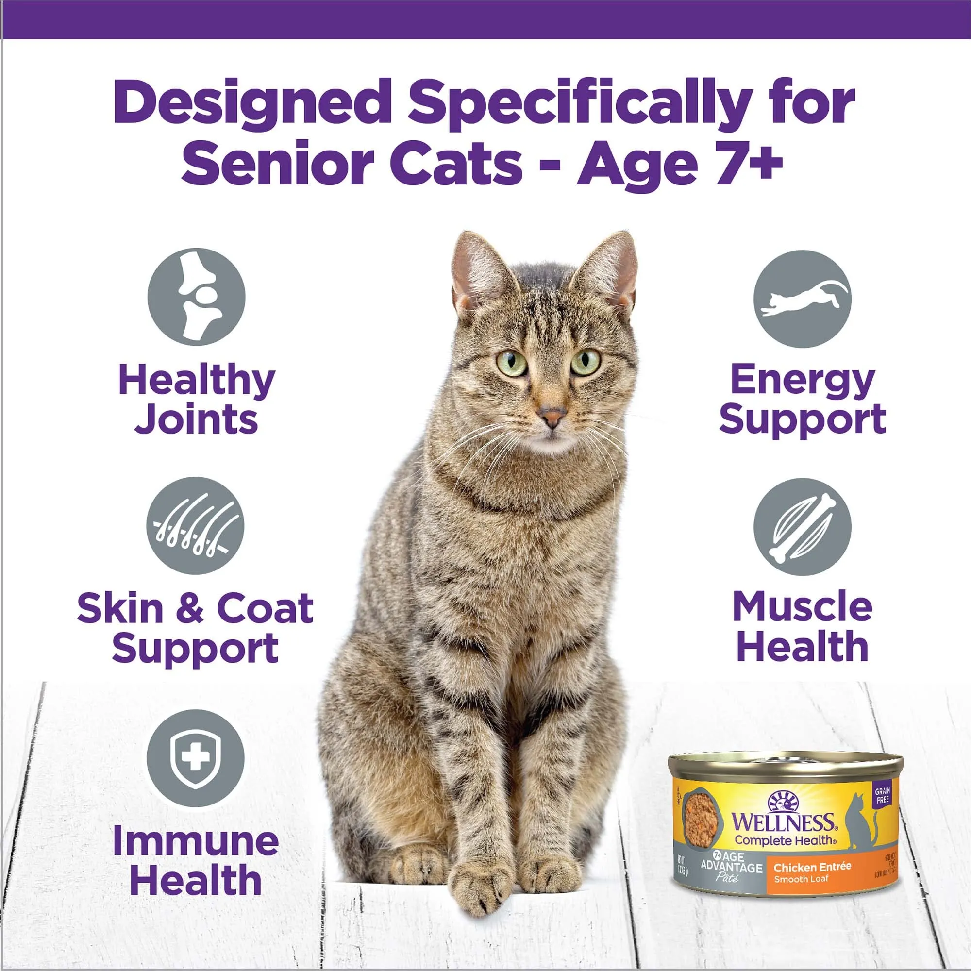Wellness Complete Health Age Advantage Grain-Free Chicken Entrée Adult Canned Cat Food - 3 Oz - Case of 24
