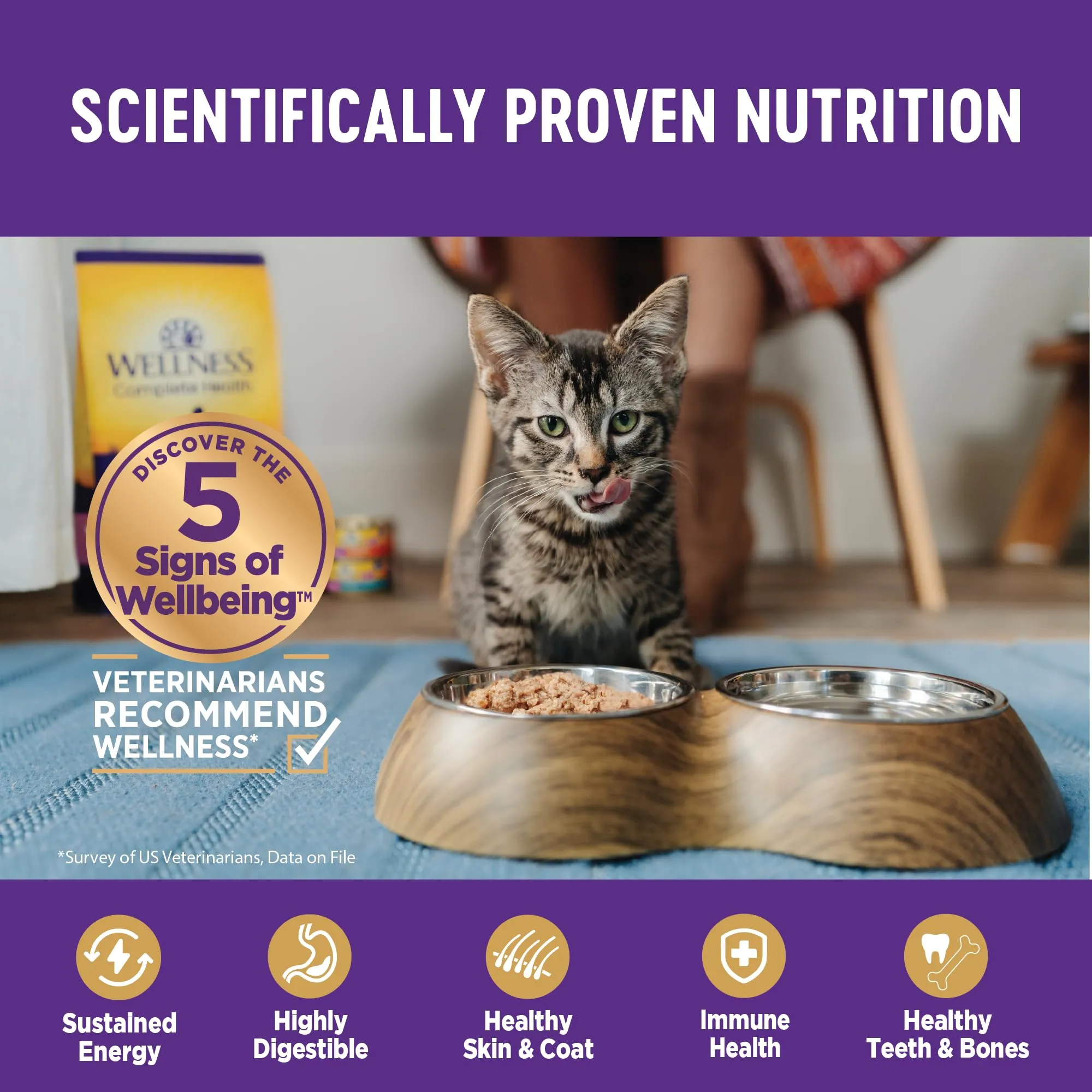 Wellness Complete Health Age Advantage Grain-Free Chicken Entrée Adult Canned Cat Food - 3 Oz - Case of 24