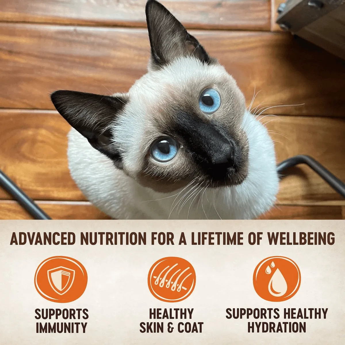 Wellness CORE Tiny Tasters Duck Wet Cat Food